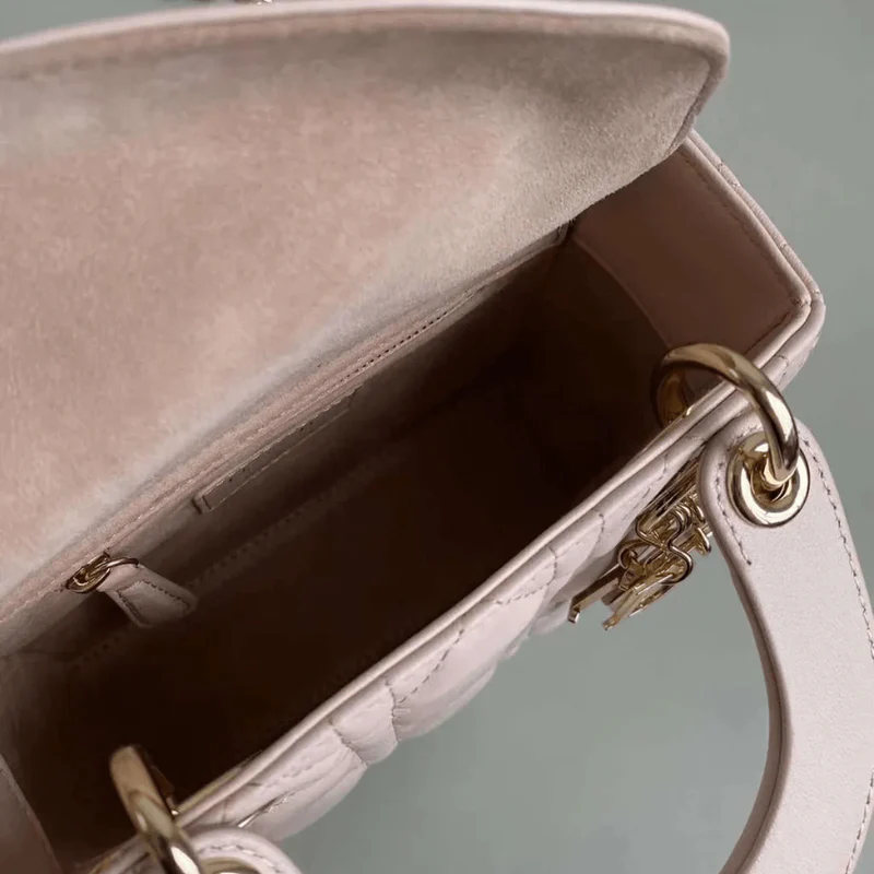 Mini Lady Dior Tasche